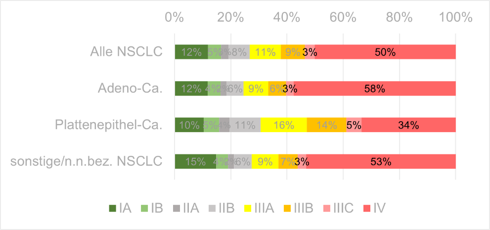 Relative Verteilung von Stadien und Histologie bei Erstdiagnose (Deutschland, 2017-2019)