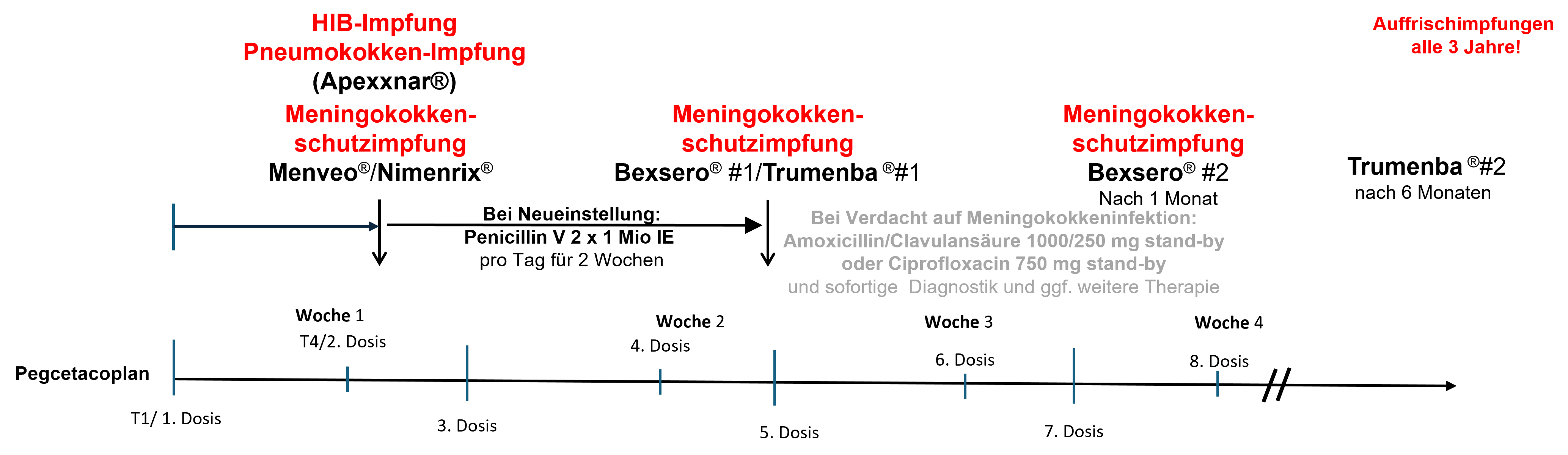 Therapieschema zur Neueinstellung auf Pegcetacoplan