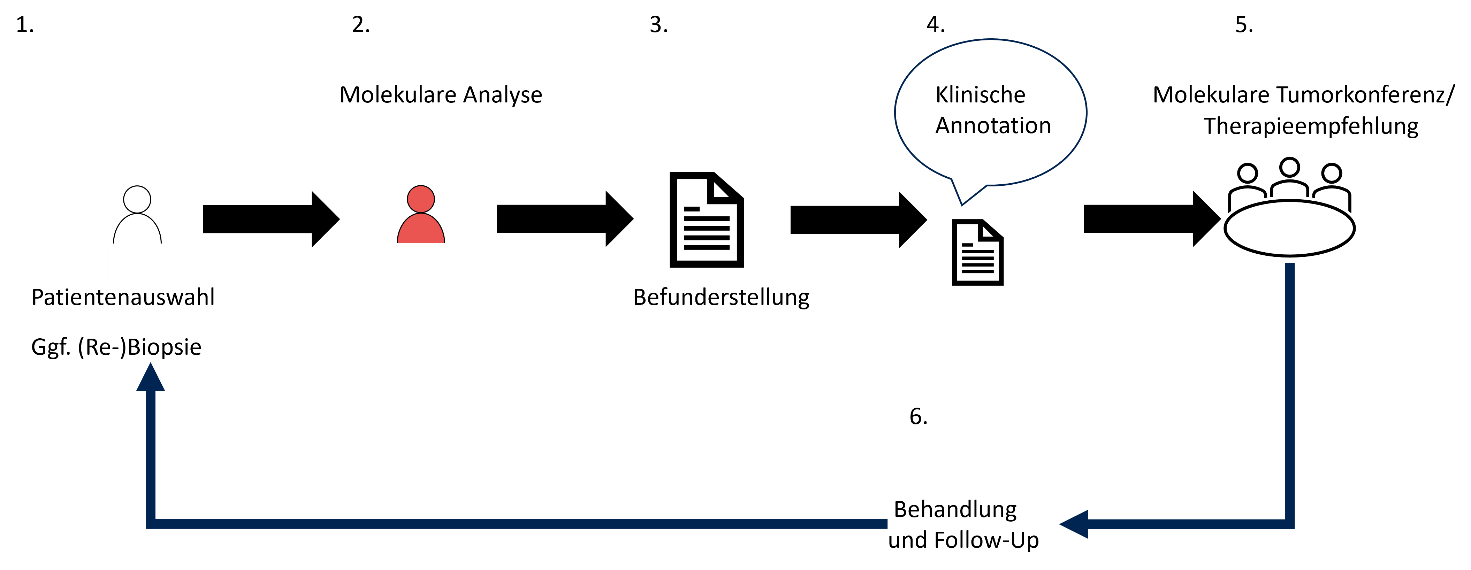 Schematische Übersicht über Arbeitsschritte in der Präzisionsonkologie